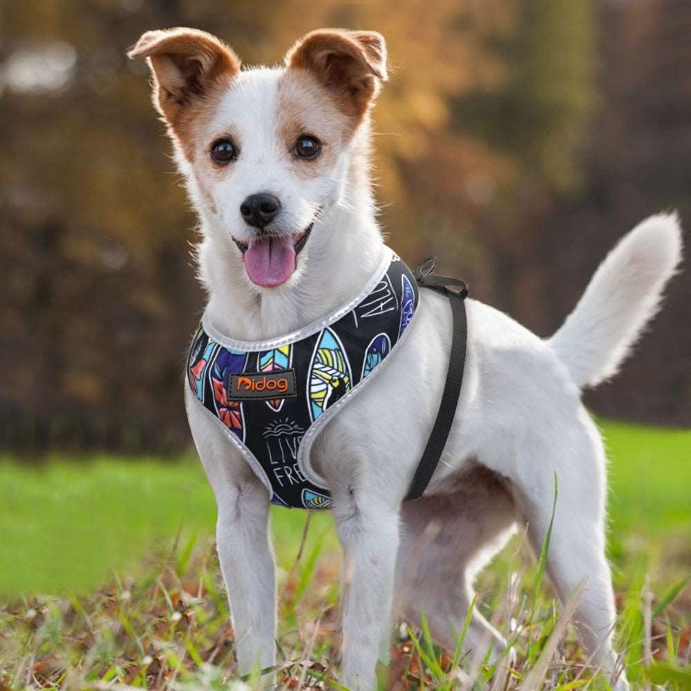 Breathable Reflective Printed Harness | For Small Medium Dogs Cats | Walking Vest for Puppies and Dogs