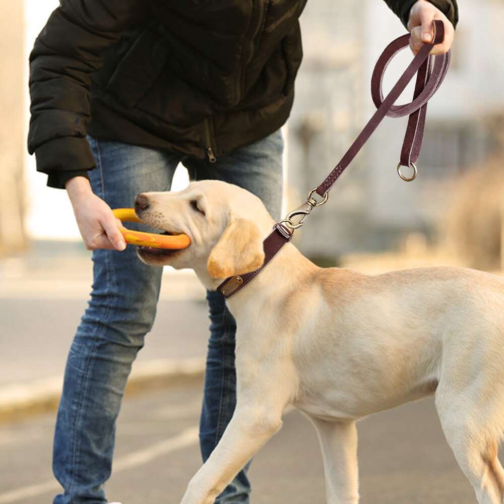 1.5m Genuine Leather Dog Leash | Real Leather Pet Walking and Running Leash Lead for Small, Medium, Large Dogs and Cats