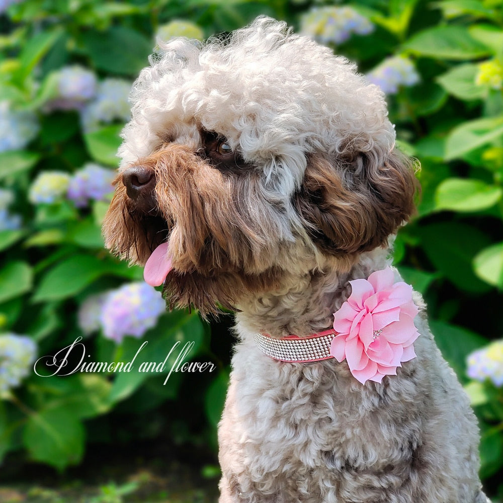 Bling Rhinestone Dog Collar with Flower | Glittery Crystal Puppy & Cat Collar for Small Pets