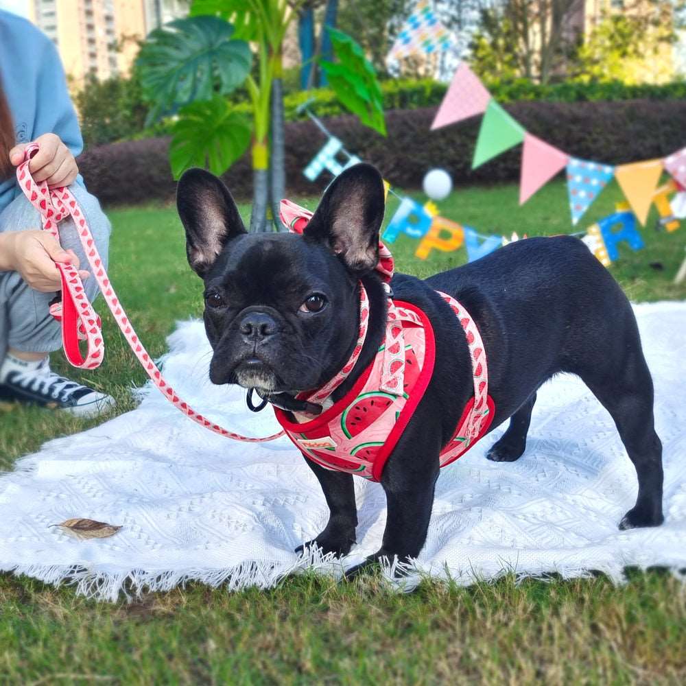 6-Piece Fashion Printed Dog Harness Set | Matching Collar, Leash, Poop Bag, and Bandana | For Small to Medium Dogs