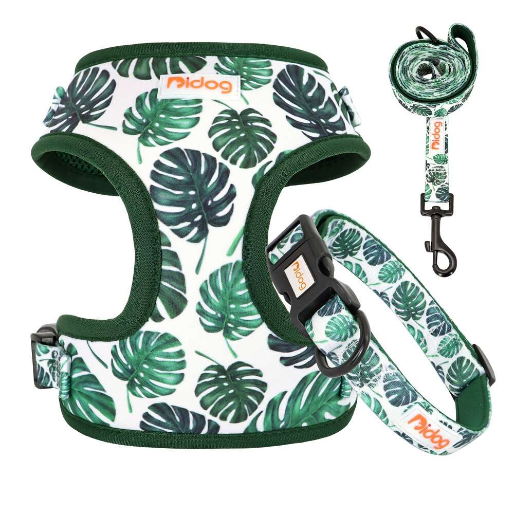 Adjustable Nylon Dog Collar, Harness, and Leash Set | Soft Mesh Vest for Small to Medium Dogs and Cats