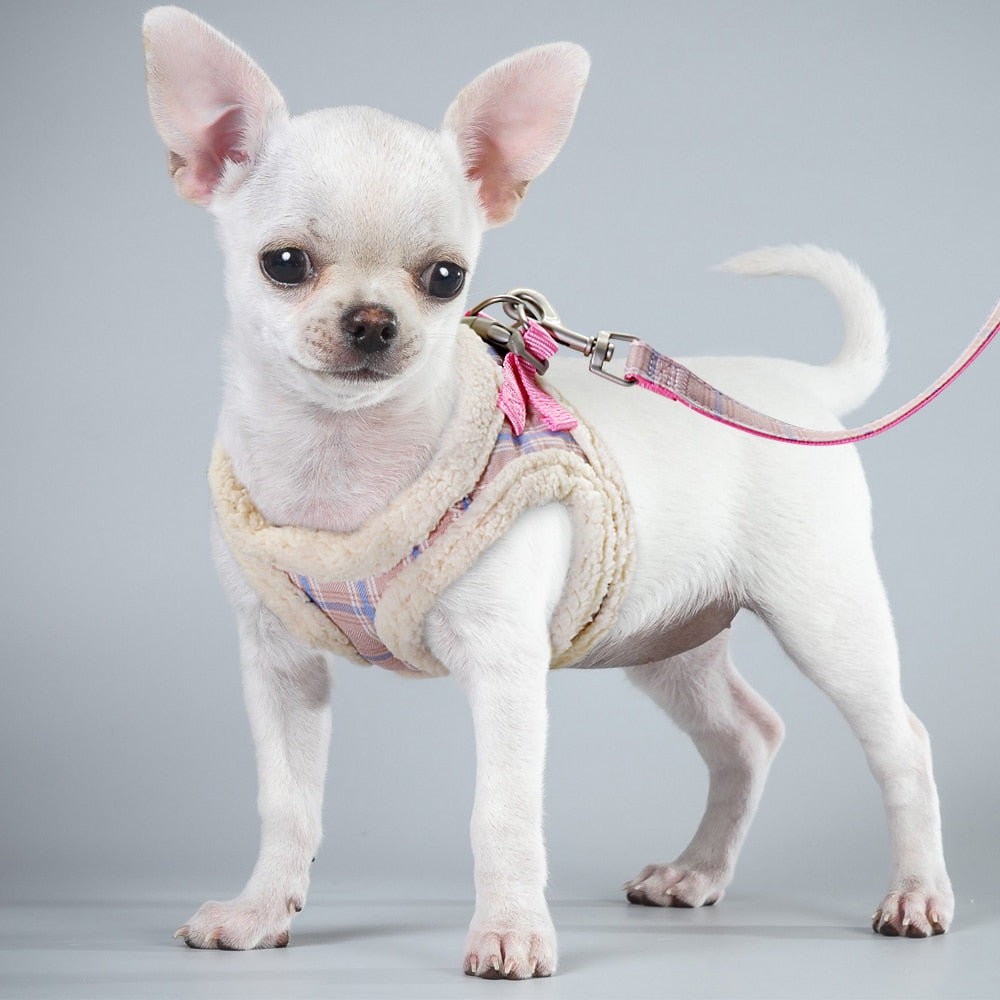 Soft Padded Cat Harness Vest | Adjustable Harness with 1.5m Leash for Small Dogs and Cats
