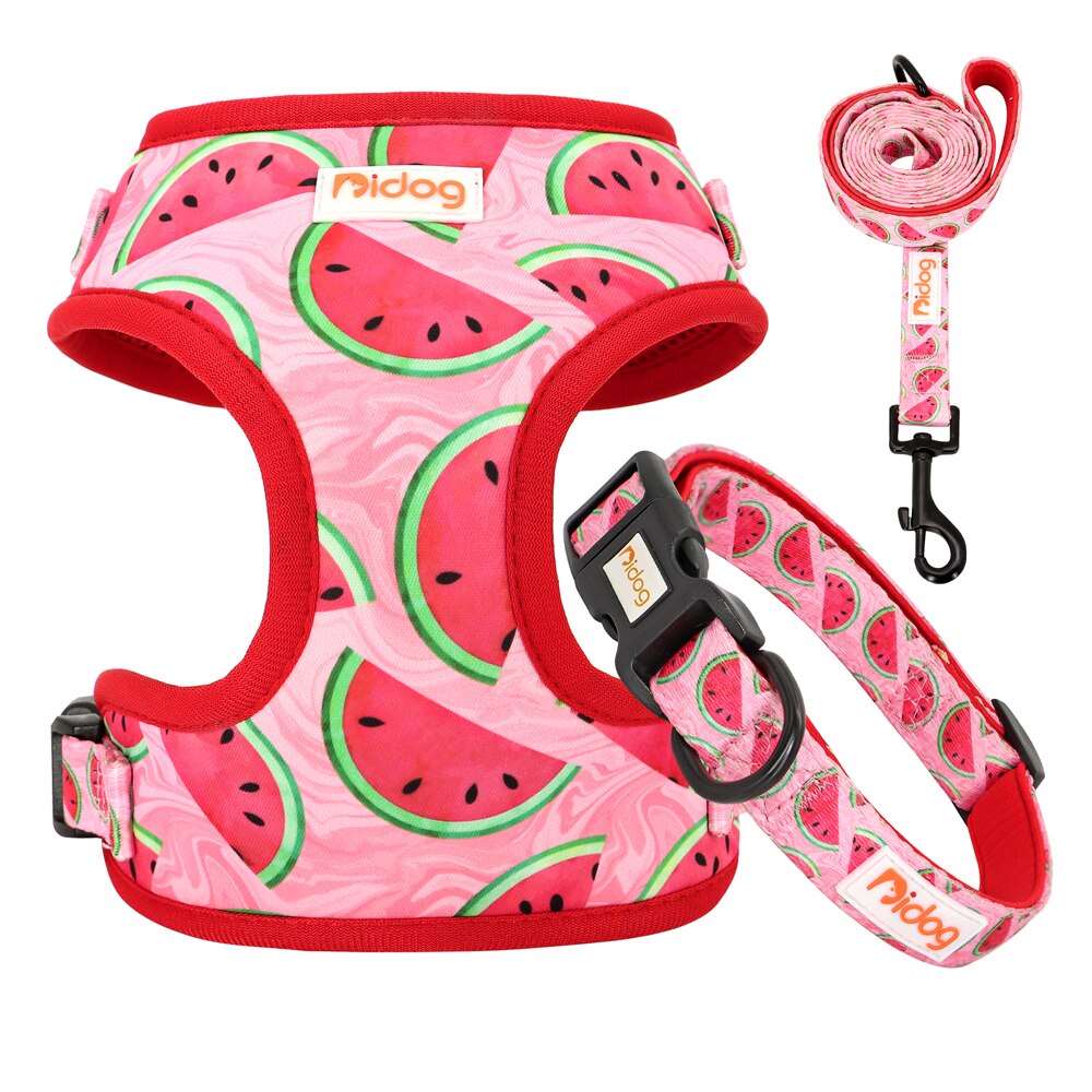 Adjustable Nylon Dog Collar, Harness, and Leash Set | Soft Mesh Vest for Small to Medium Dogs and Cats