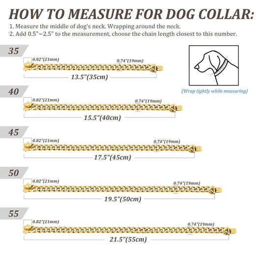 19mm Stainless Steel Dog Chain Collars | Pet Training & Show Collar for Medium and Large Dogs