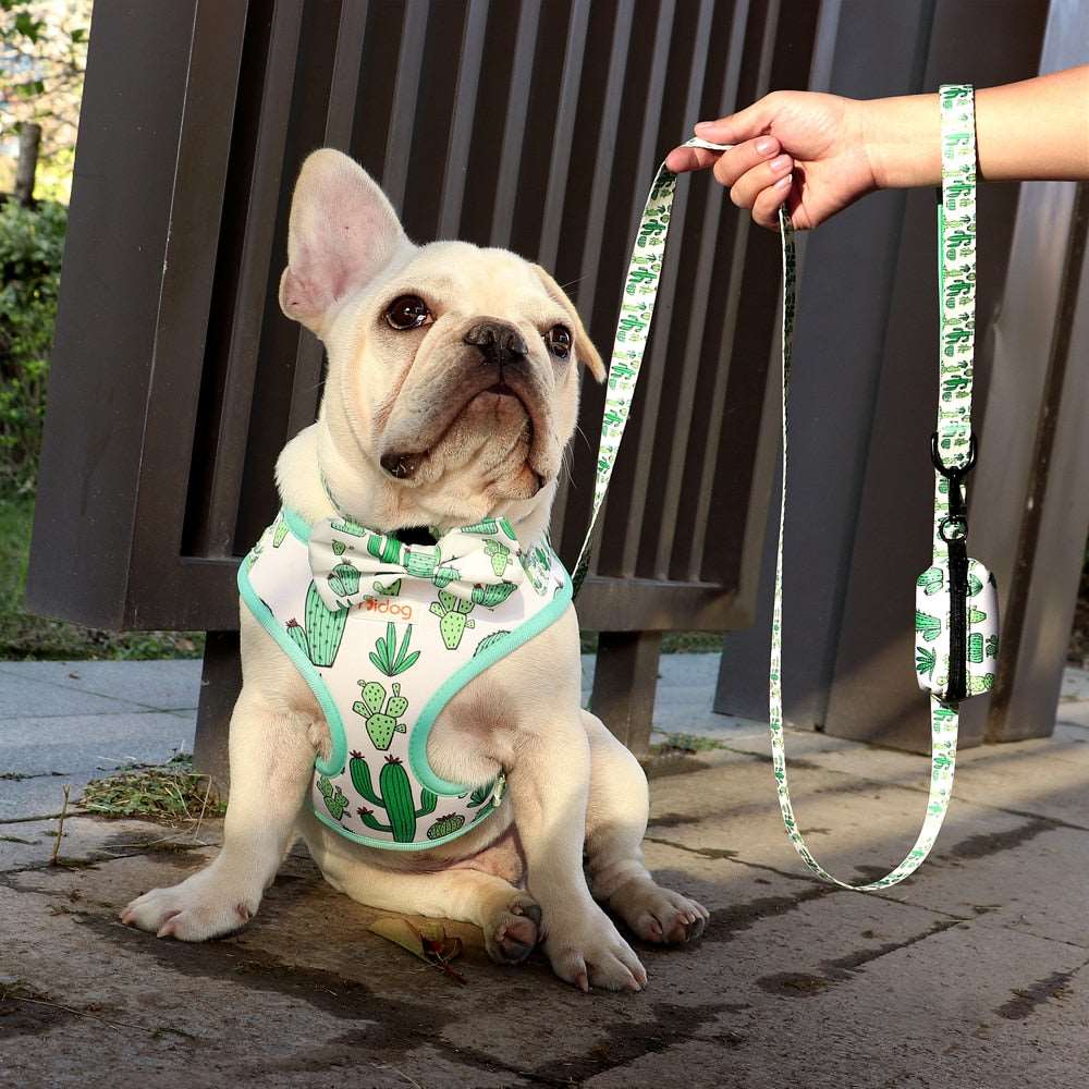 6-Piece Fashion Printed Dog Harness Set | Matching Collar, Leash, Poop Bag, and Bandana | For Small to Medium Dogs
