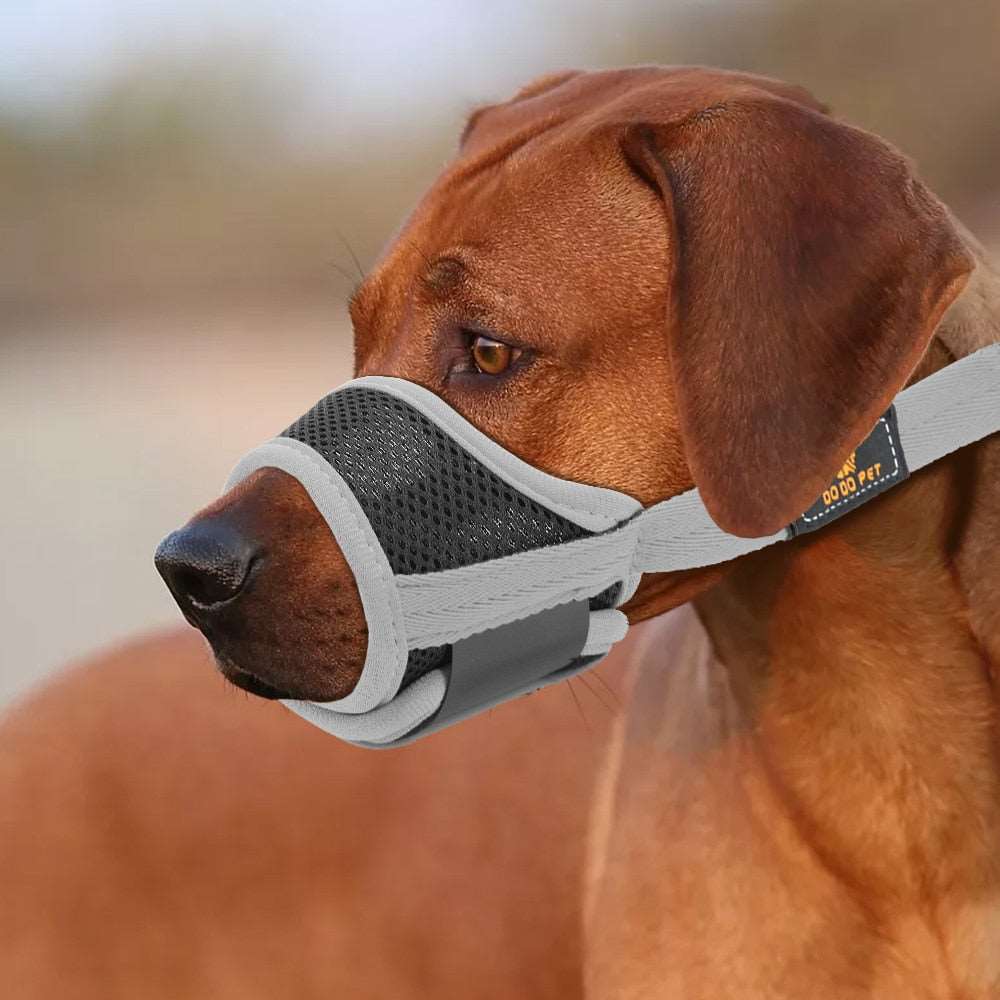 Adjustable Breathable Dog Muzzle | Anti-Bark Mouth Mask for Grooming, Training, and Pet Accessories