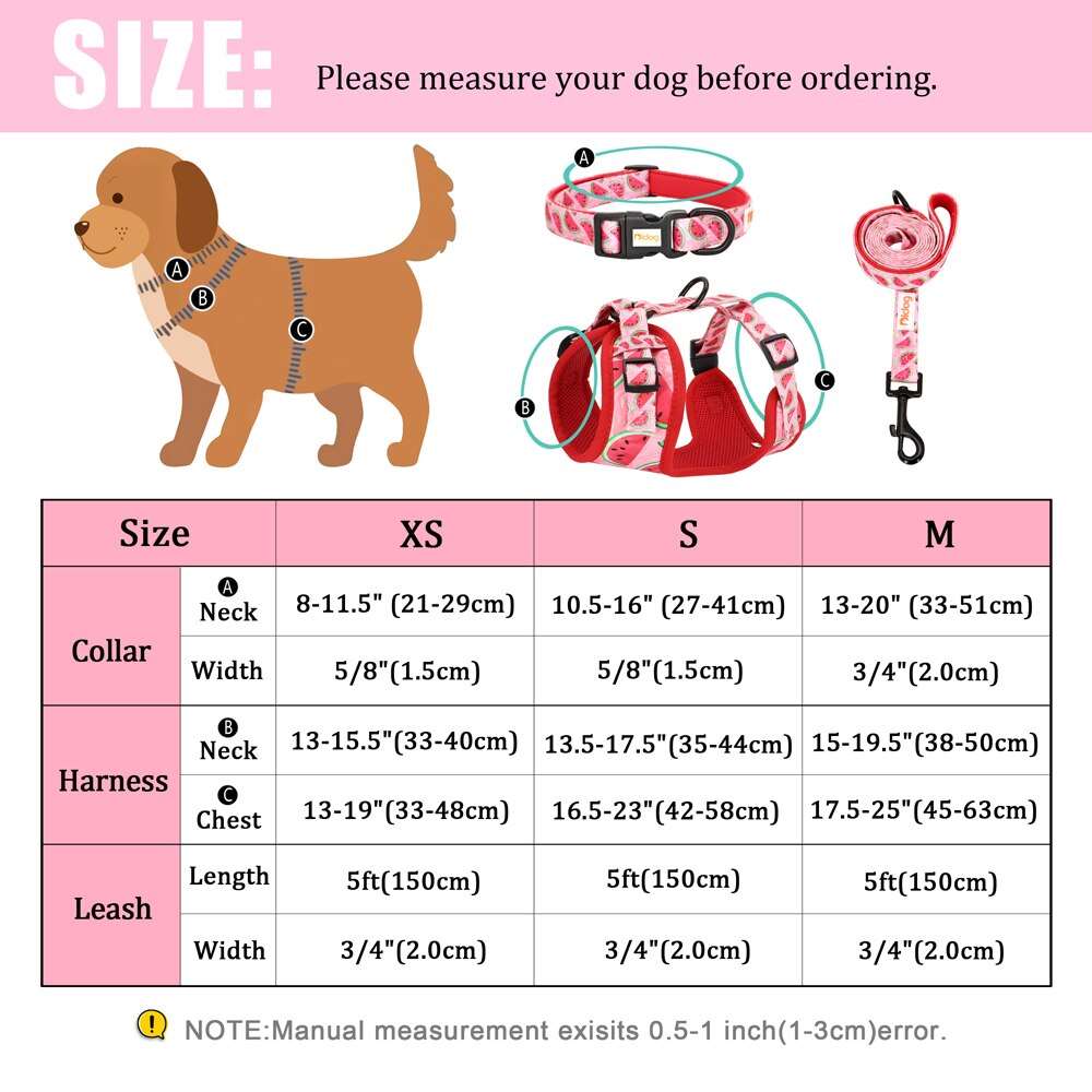 Adjustable Nylon Dog Collar, Harness, and Leash Set | Soft Mesh Vest for Small to Medium Dogs and Cats