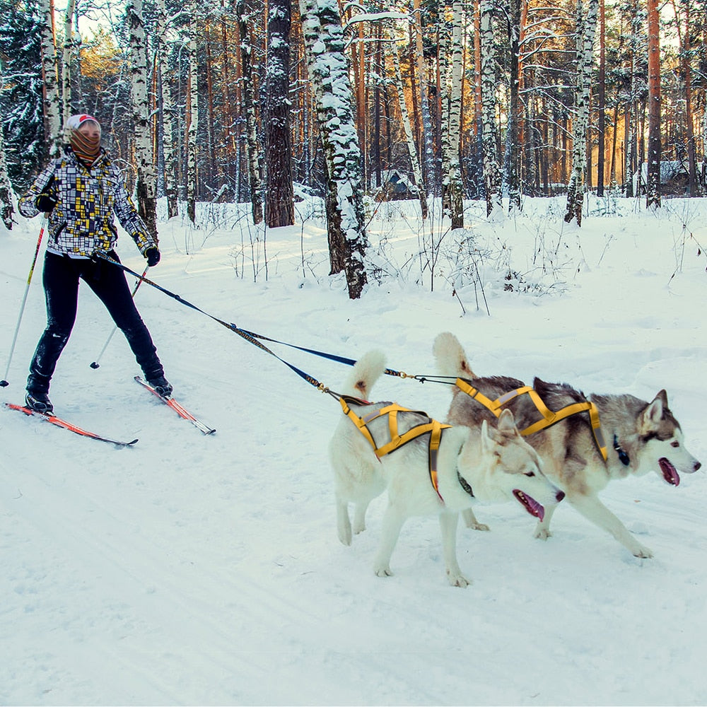 Dog Sled Harness for Large Dogs | Heavy-Duty Weight Pulling X Back Harness for Sledding, Canicross, and Skijoring