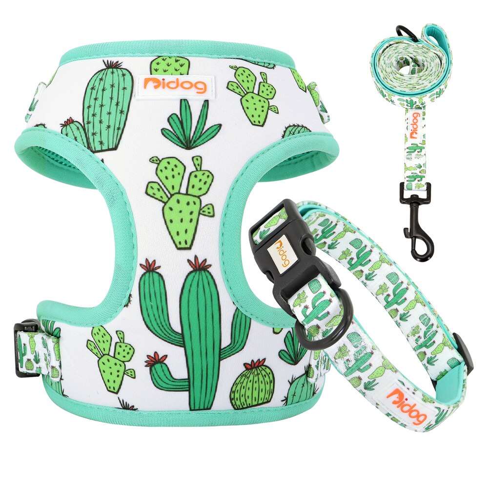 Adjustable Nylon Dog Collar, Harness, and Leash Set | Soft Mesh Vest for Small to Medium Dogs and Cats