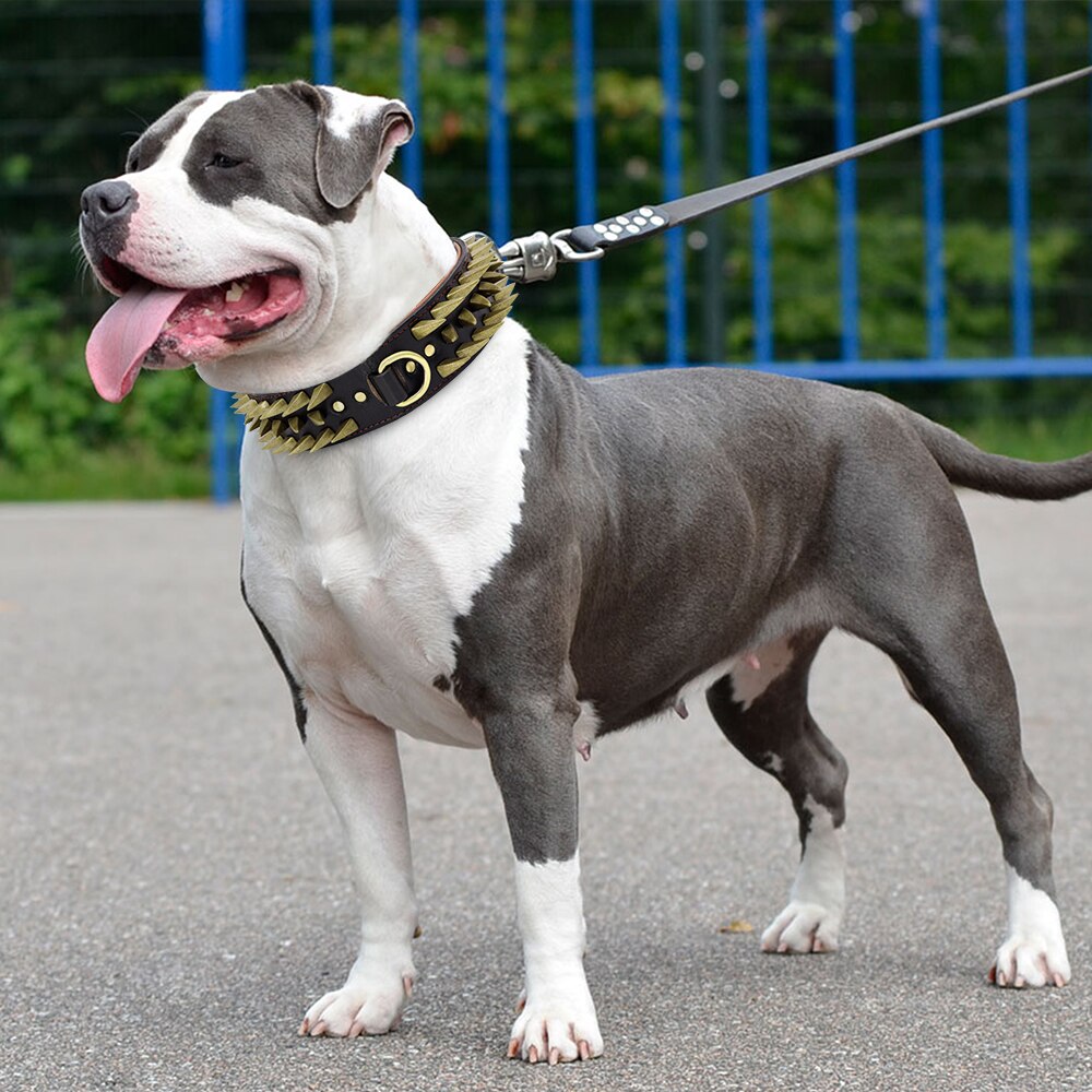 Spiked Studded Leather Dog Collar | Strong and Durable Collar for Medium & Large Dogs - Heavy Duty Metal Buckle