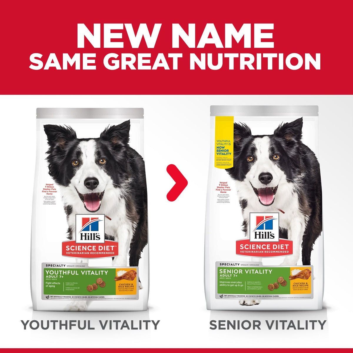 Hill's Science Diet Adult Dog 7+ Senior Vitality Food