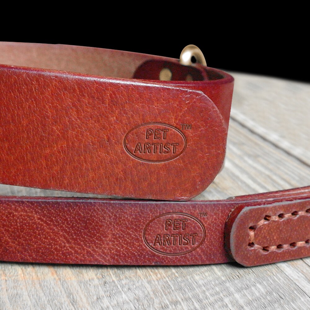 Genuine Leather Dog Collar & Leash Set | Durable Pet Collar for Medium to Large Dogs