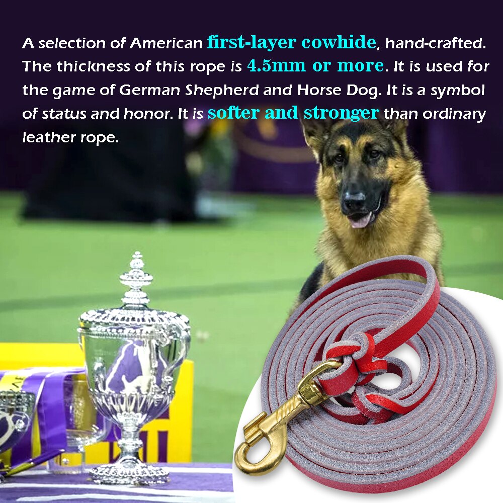 Leather Dog Leash | Long-Lasting Training Lead for Medium to Large Dogs | 1.5m/2.5m Lengths
