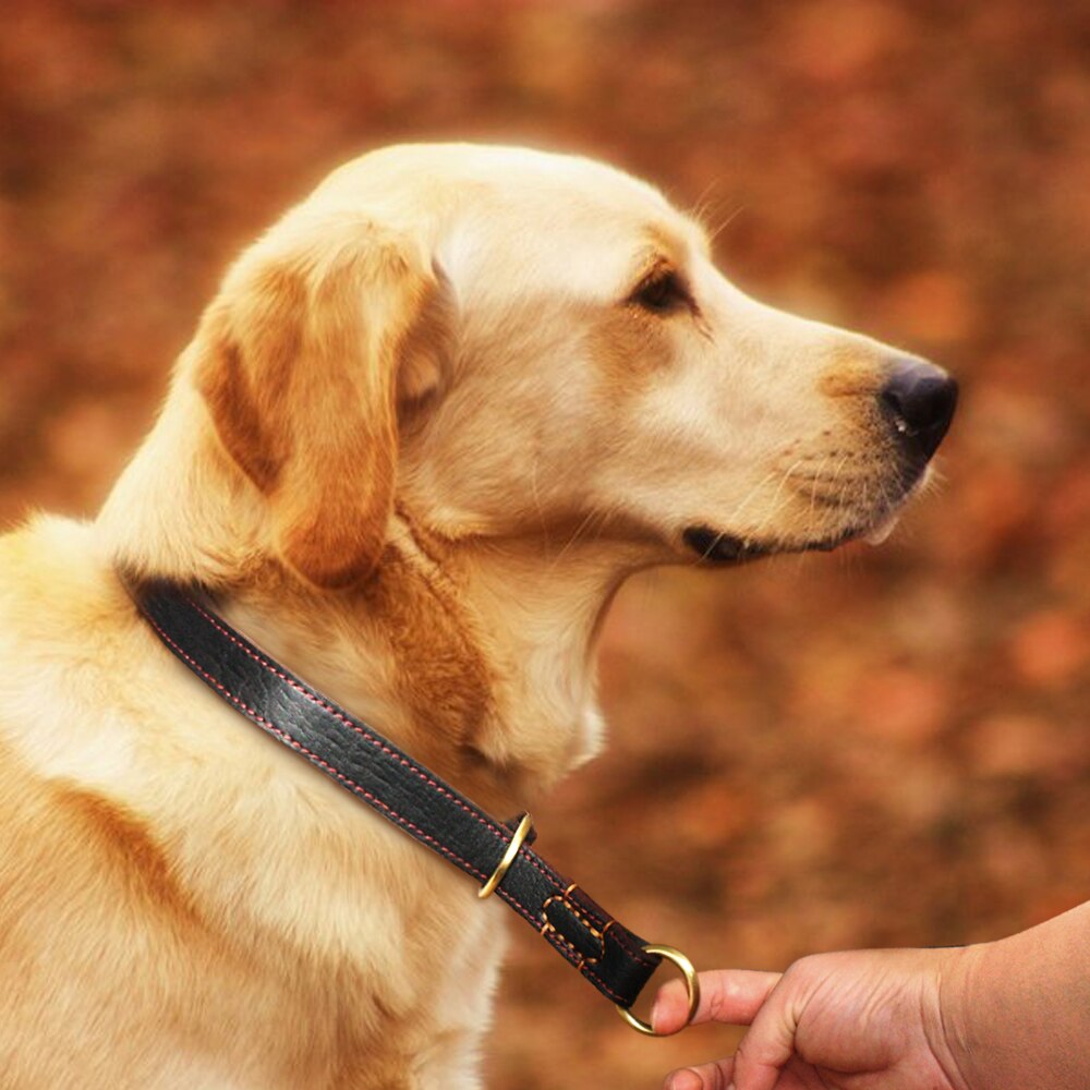 Handmade Genuine Leather Dog Collar | Durable Adjustable P Choke Pet Training Collar for Medium to Large Dogs (M-XL)