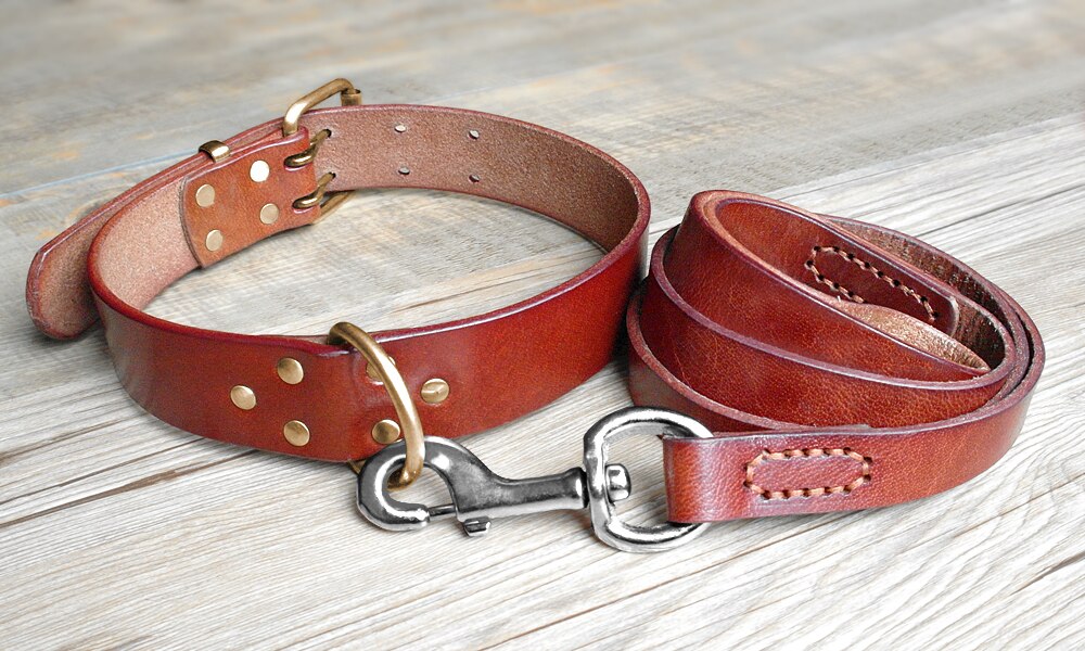 Genuine Leather Dog Collar & Leash Set | Durable Pet Collar for Medium to Large Dogs
