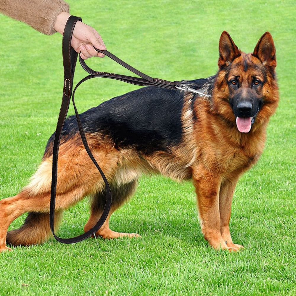 Genuine Leather Dog Leash with Double Handles | Quick Control Walking Lead for Medium & Large Dogs