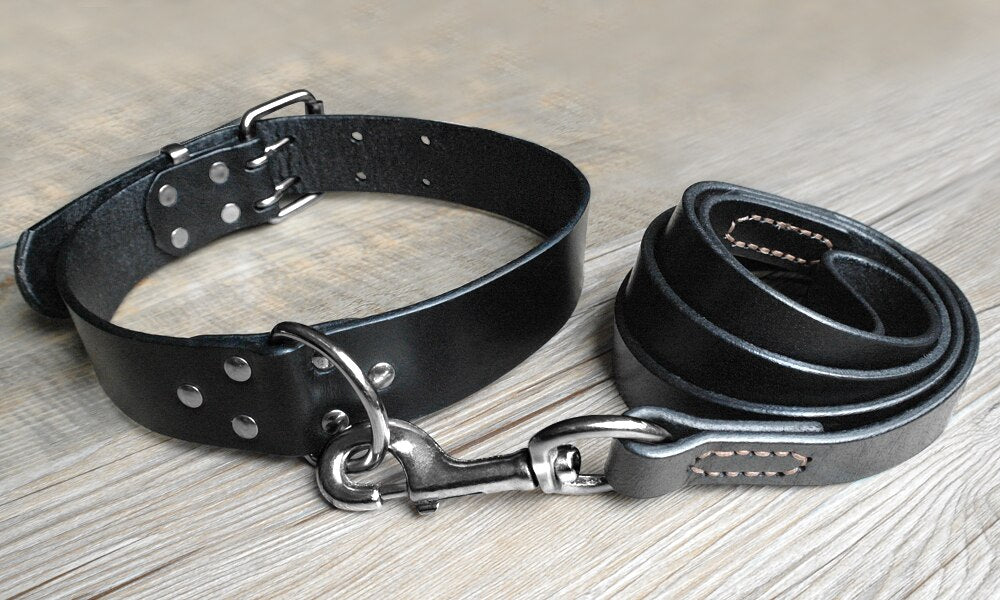 Genuine Leather Dog Collar & Leash Set | Durable Pet Collar for Medium to Large Dogs