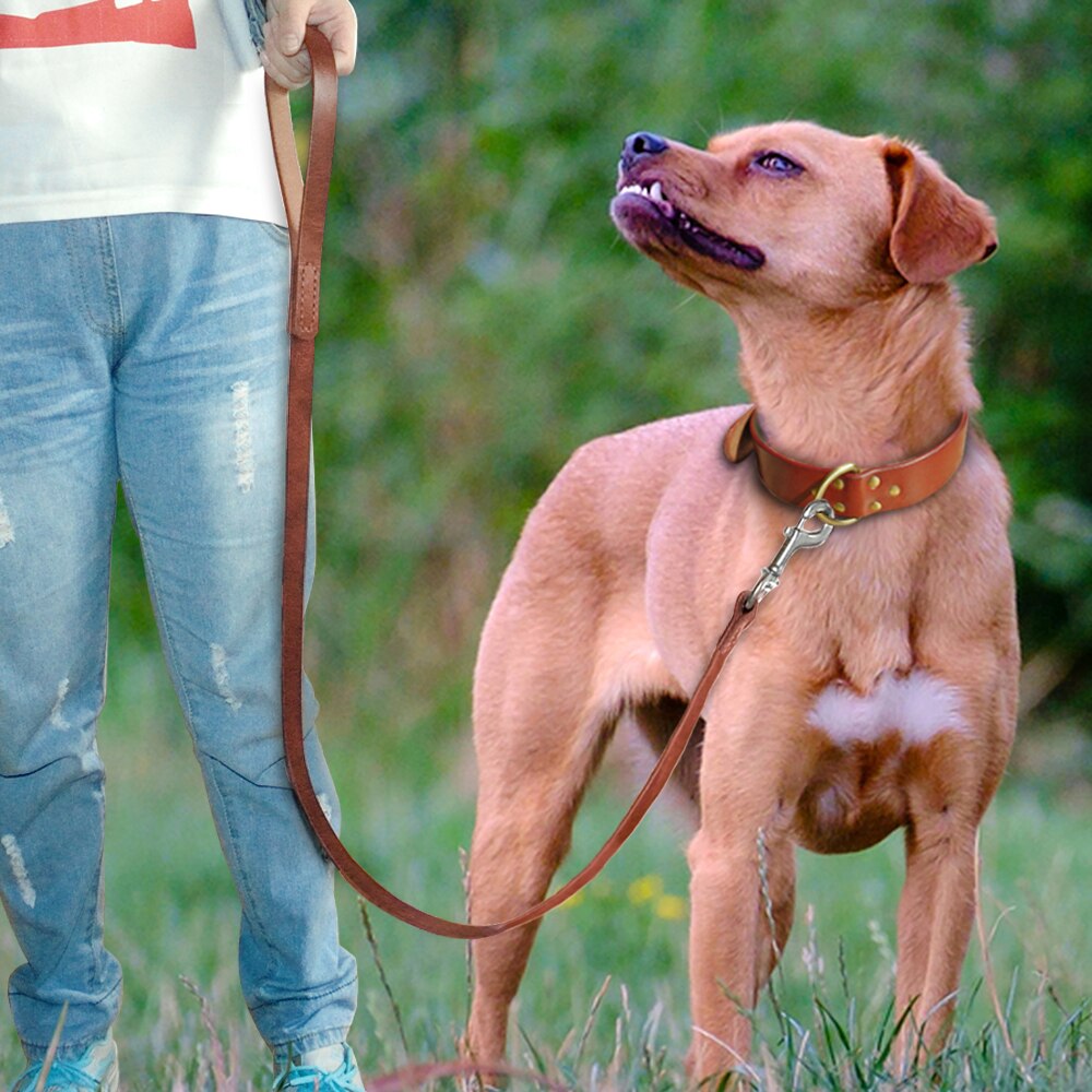 Genuine Leather Dog Collar & Leash Set | Durable Pet Collar for Medium to Large Dogs