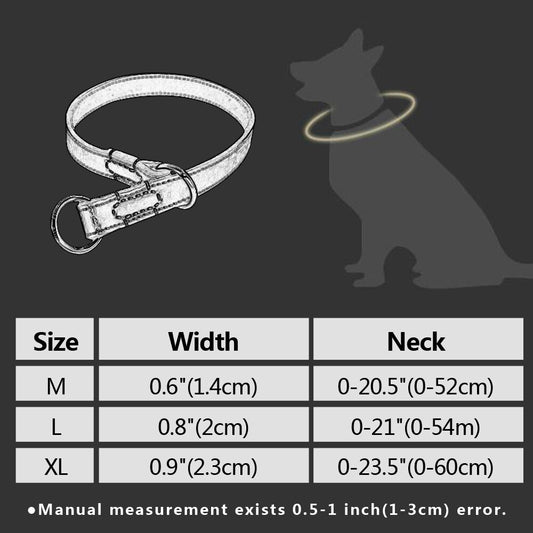 Handmade Leather Dog Collar | Adjustable P Choke