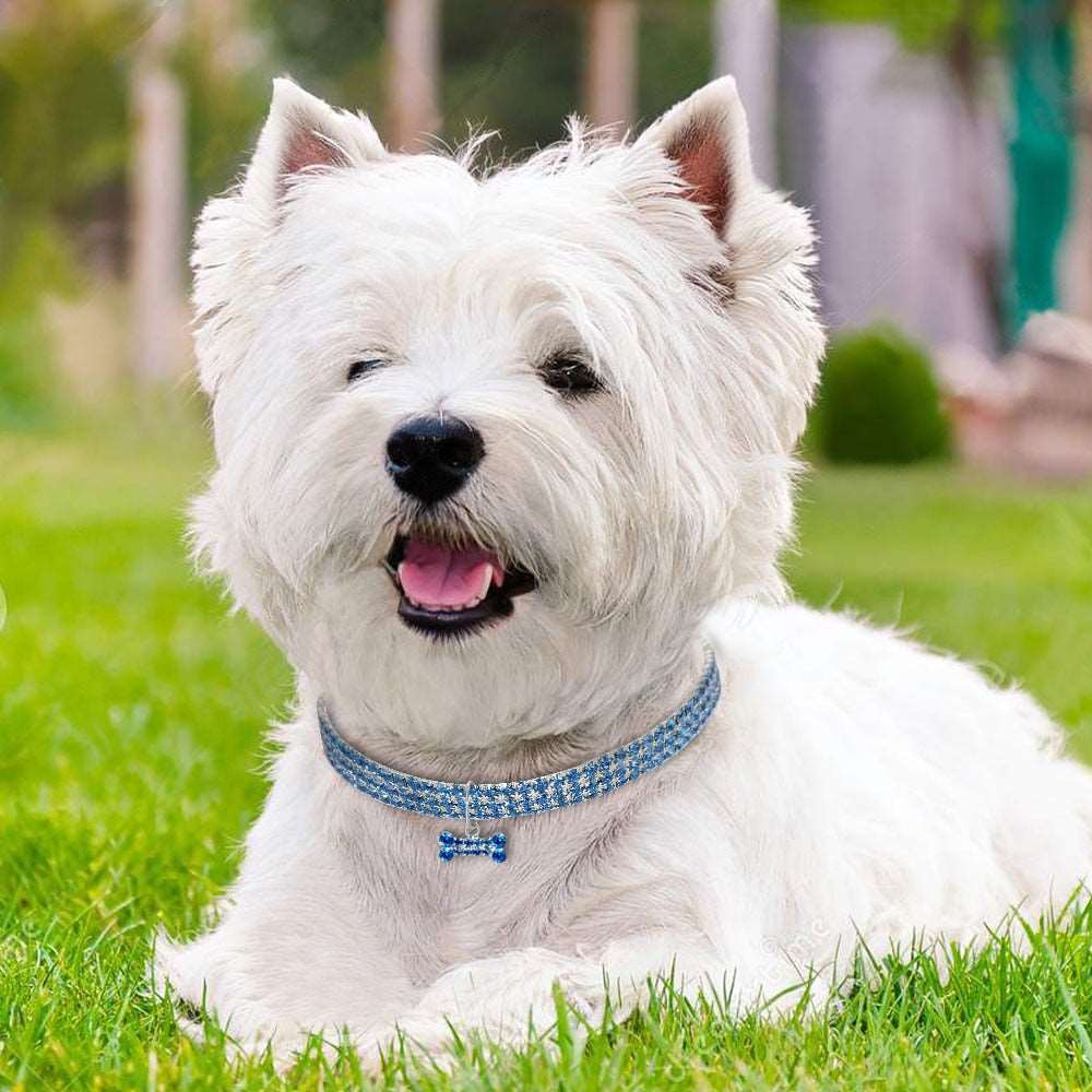 Bling Rhinestone Dog and Cat Collar | Crystal Puppy Pet Collars with Leash for Small to Medium Dogs