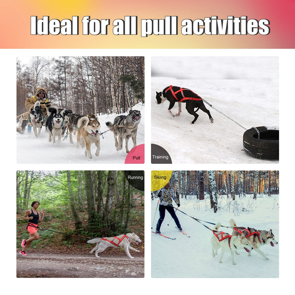 Dog Sled Harness for Large Dogs | Heavy-Duty Weight Pulling X Back Harness for Sledding, Canicross, and Skijoring