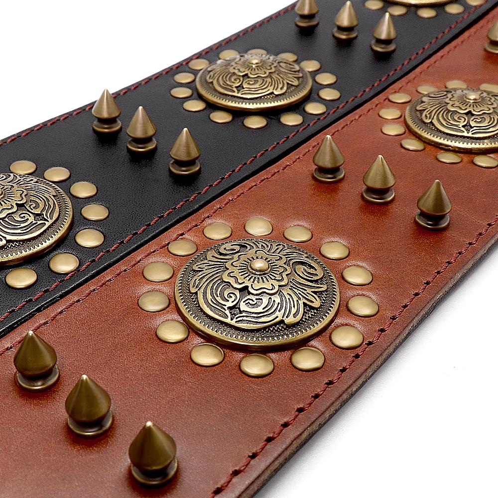 Spiked Leather Dog Collar | Adjustable Studded Collar for Medium & Large Dogs | Heavy Duty Buckle & D-Ring