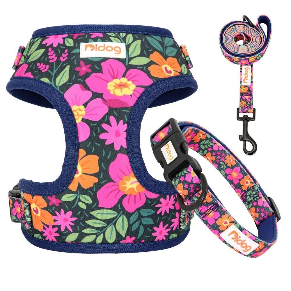 Adjustable Nylon Dog Collar, Harness, and Leash Set | Soft Mesh Vest for Small to Medium Dogs and Cats