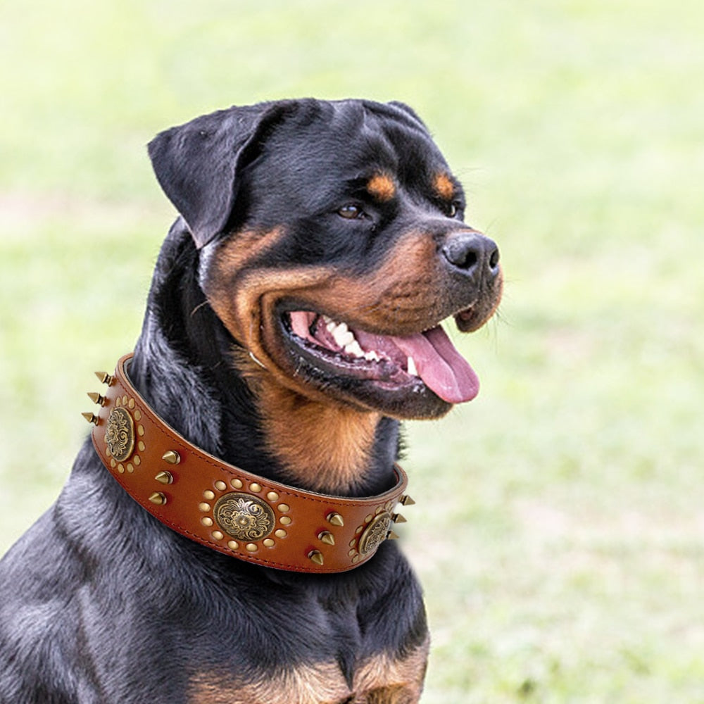 Spiked Leather Dog Collar | Adjustable Studded Collar for Medium & Large Dogs | Heavy Duty Buckle & D-Ring