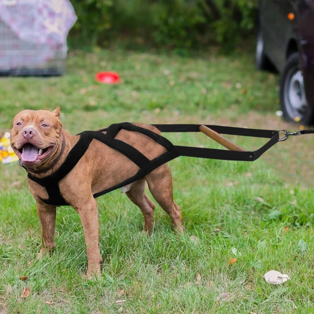 Durable Dog Weight Pulling Harness | Sledding & Training Harness for Medium & Large Dogs | Heavy Duty Design for Muscle Building