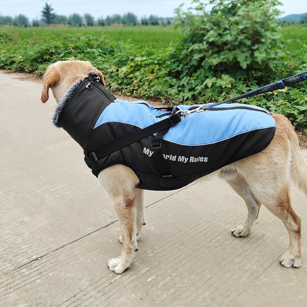 Waterproof Winter Dog Coat with Harness | Warm, Windproof Jacket for Large Dogs