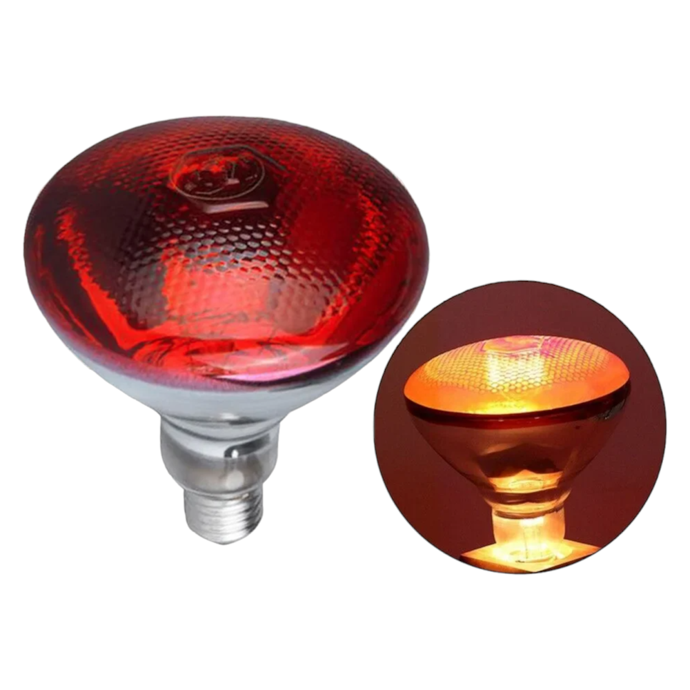 Infrared Heating Bulb Lamp 220V E27 | 100W-275W for Poultry, Reptiles, Amphibians, Pets | Farm and Pet Supplies