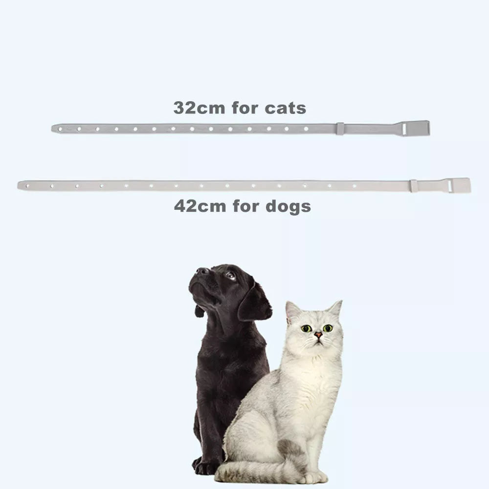 Anti-Flea Tick Collar for Cats & Small Dogs | 8-Month Protection Adjustable Antiparasitic Breakaway Collar