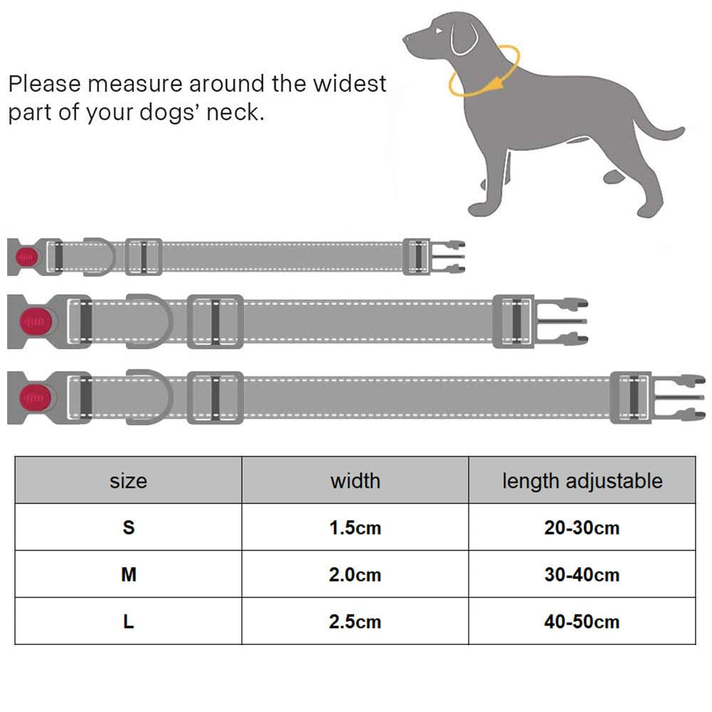 Adjustable Reflective Nylon Dog Collar | Comfortable Padded Design with Double D Rings for Small to Large Dogs