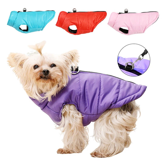 Warm Winter Dog Clothes | XS-2XL Available