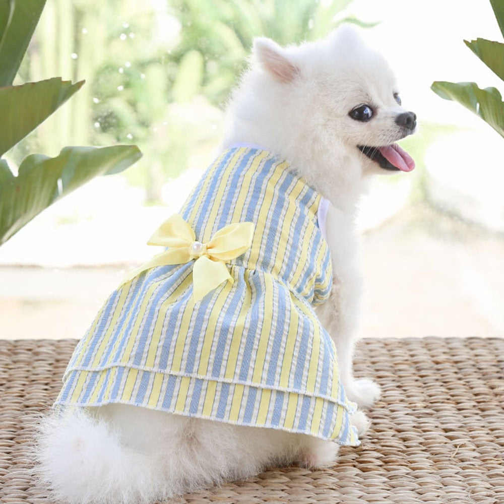 Summer Gingham Dog Dress | Adorable Pet Apparel with Bow Details and Lightweight Design for Small Dogs and Cats