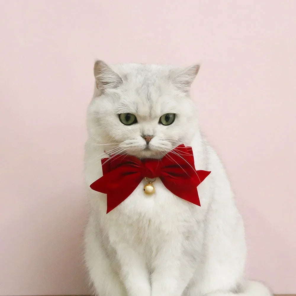 Soft Velvet Cat Collar with Bow | Adjustable Breakaway Safety Buckle in Red and Pink