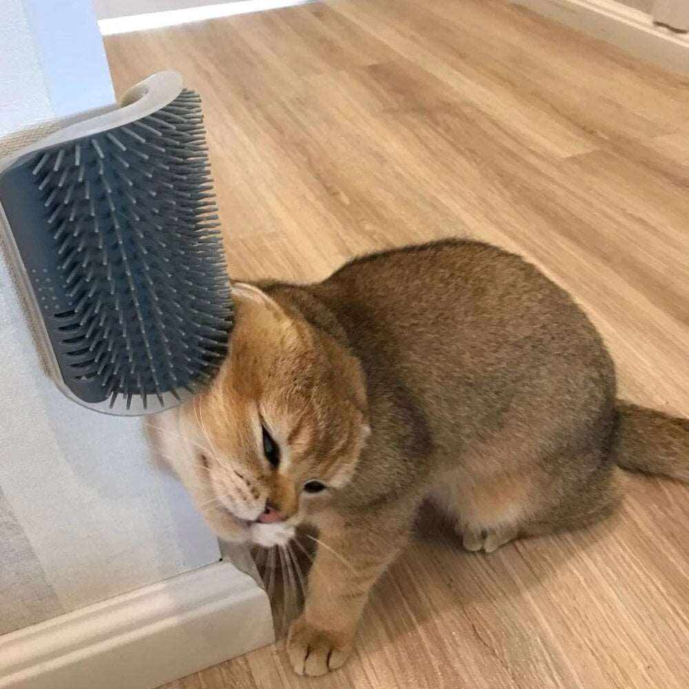 Cat Grooming Toy Arch Massager Self Cleaning Comb | Pet Hair Removal, Scratch Bristles, Plastic Cat Corner Scratcher