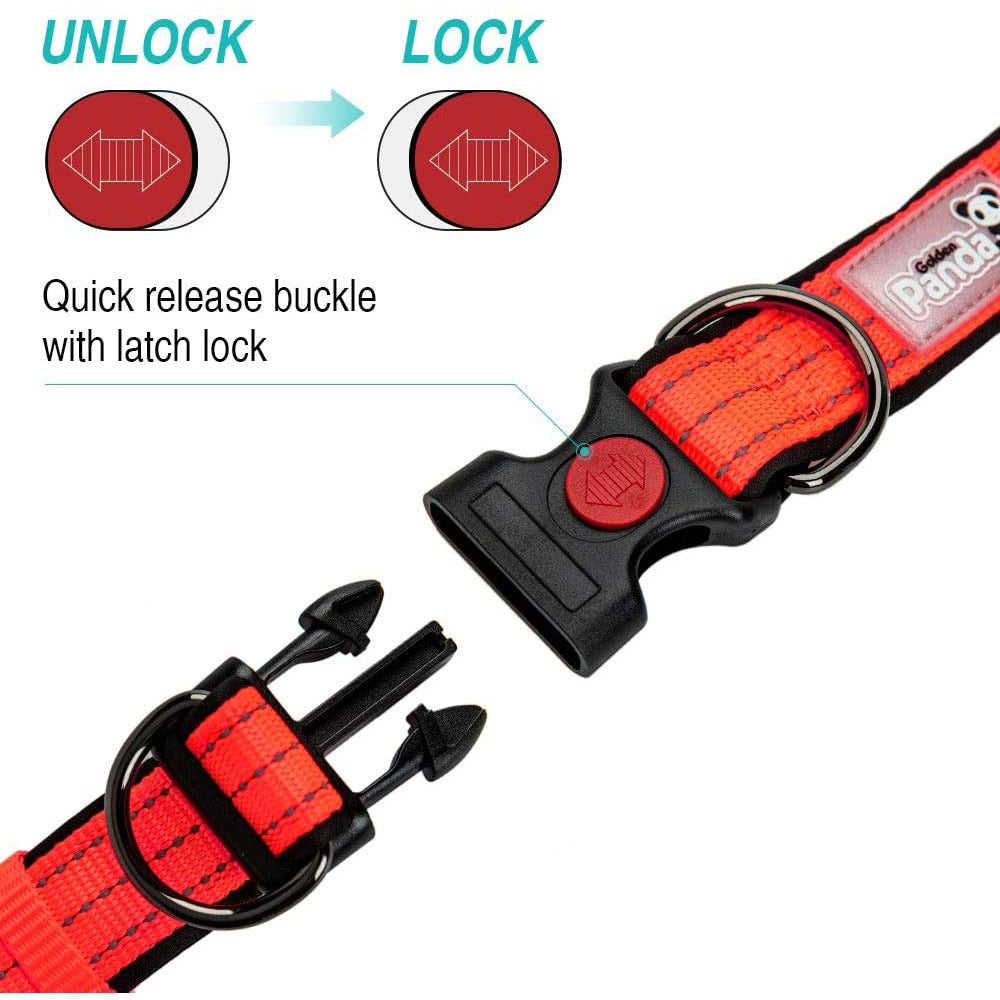 Adjustable Reflective Nylon Dog Collar | Comfortable Padded Design with Double D Rings for Small to Large Dogs