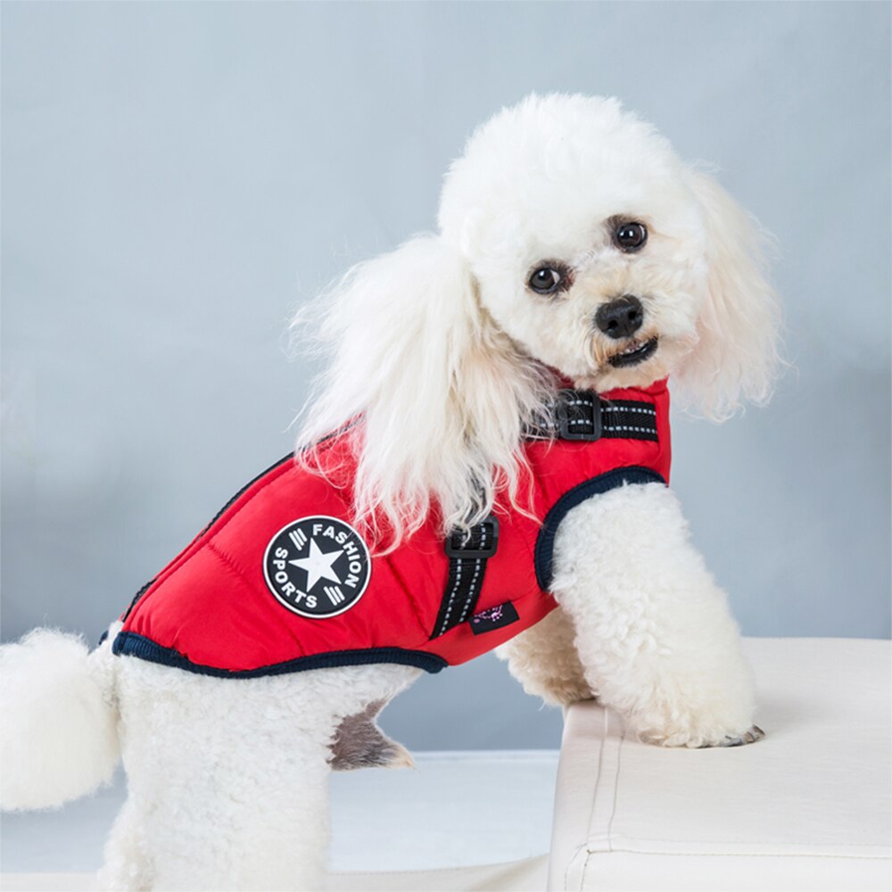Winter Dog Jacket with Built-In Harness | Waterproof, Warm, and Stylish Dog Coat for Small to Large Breeds