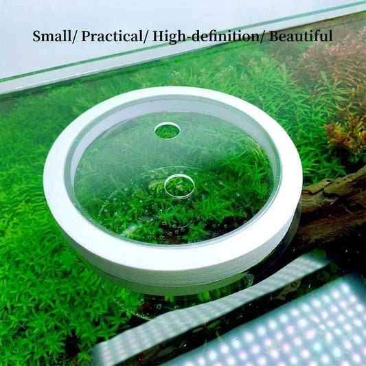 Floating Acrylic Fish Tank Isolation Box
