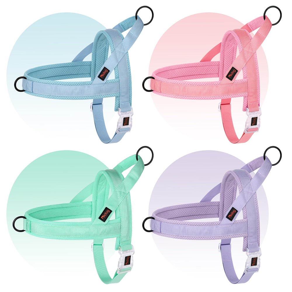 Adjustable Nylon Dog Harness with Quick-Release Buckle | Colourful Vest for Small, Medium, and Large Dogs