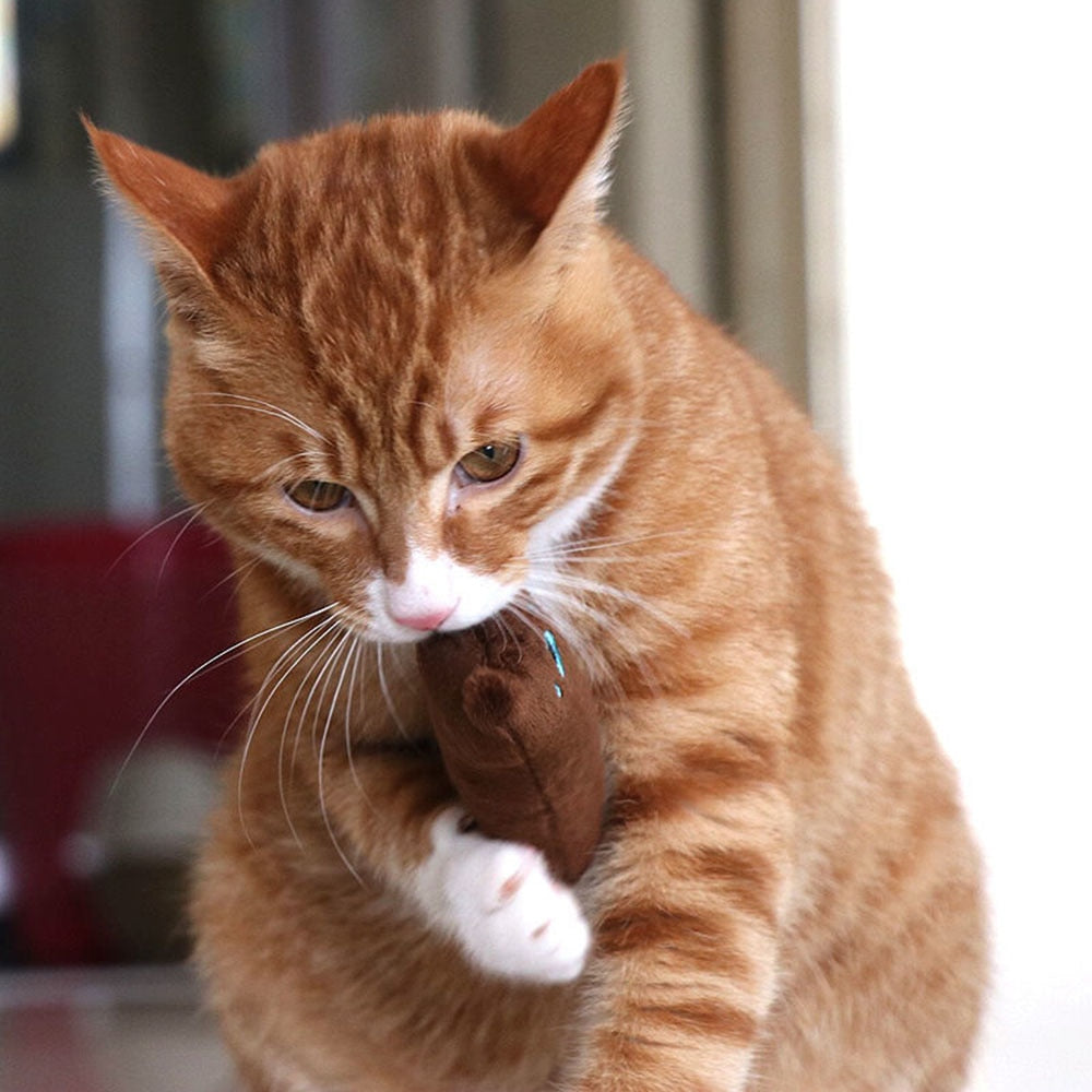 Scented Catnip Plush Toy | Interactive Cat Chew Toy for Fun & Dental Health