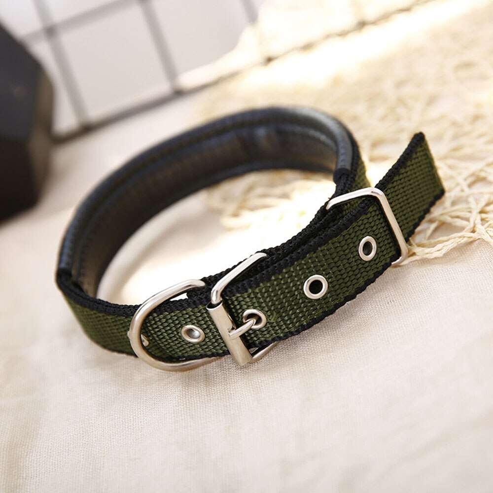 Adjustable Foam Padded Dog Collar | Durable Metal Buckle Pet Collar for Large Dogs & Cats | Strong Walking Collar