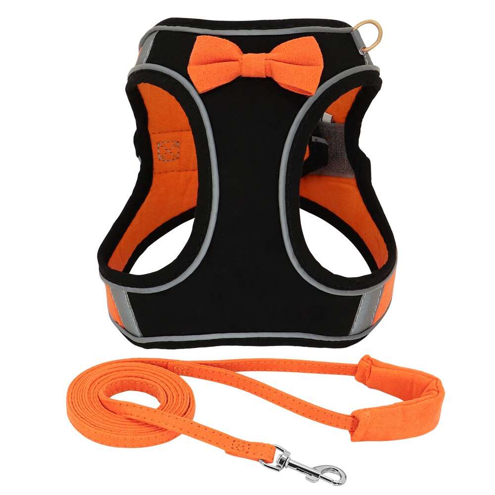 Adjustable Dog Harness with Leash Set for Small Dogs and Cats | Breathable Pet Chest Vest and Leash | Pet Accessories