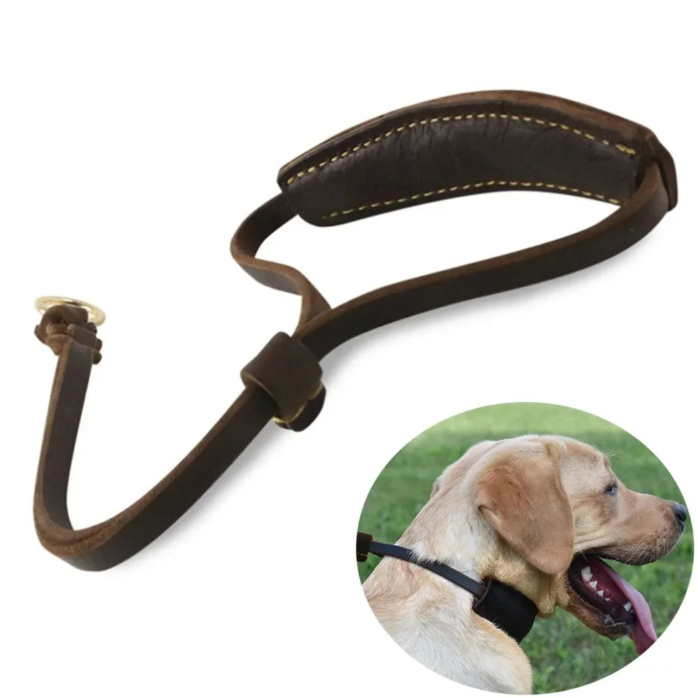Real Leather Martingale Dog Collar | Soft Adjustable Leather Collar for Medium and Large Dogs