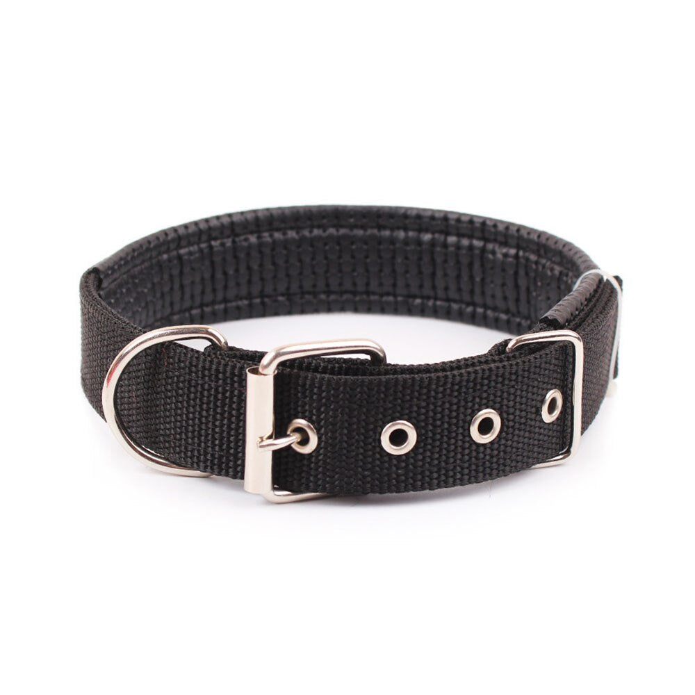 Comfortable Adjustable Nylon Dog Collar | 5 Sizes for Small to Large Dogs, Multiple Colours Available