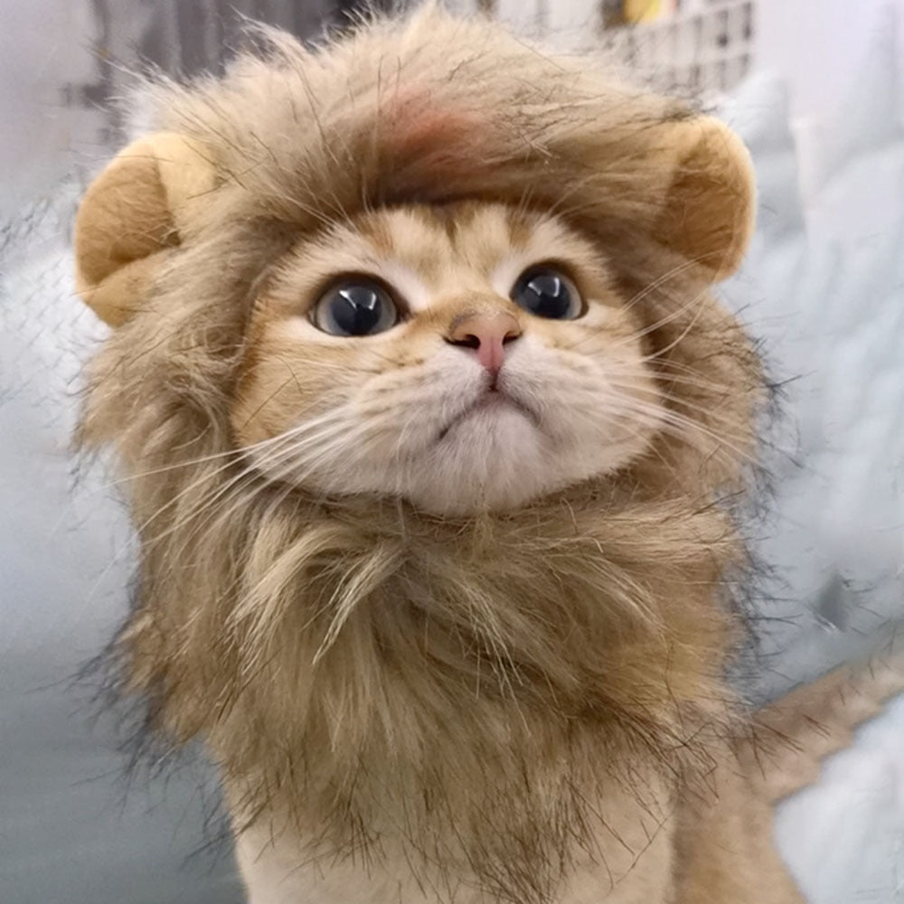Lion Mane Cat Wig Hat | Cute Costume Accessories for Cats & Small Dogs