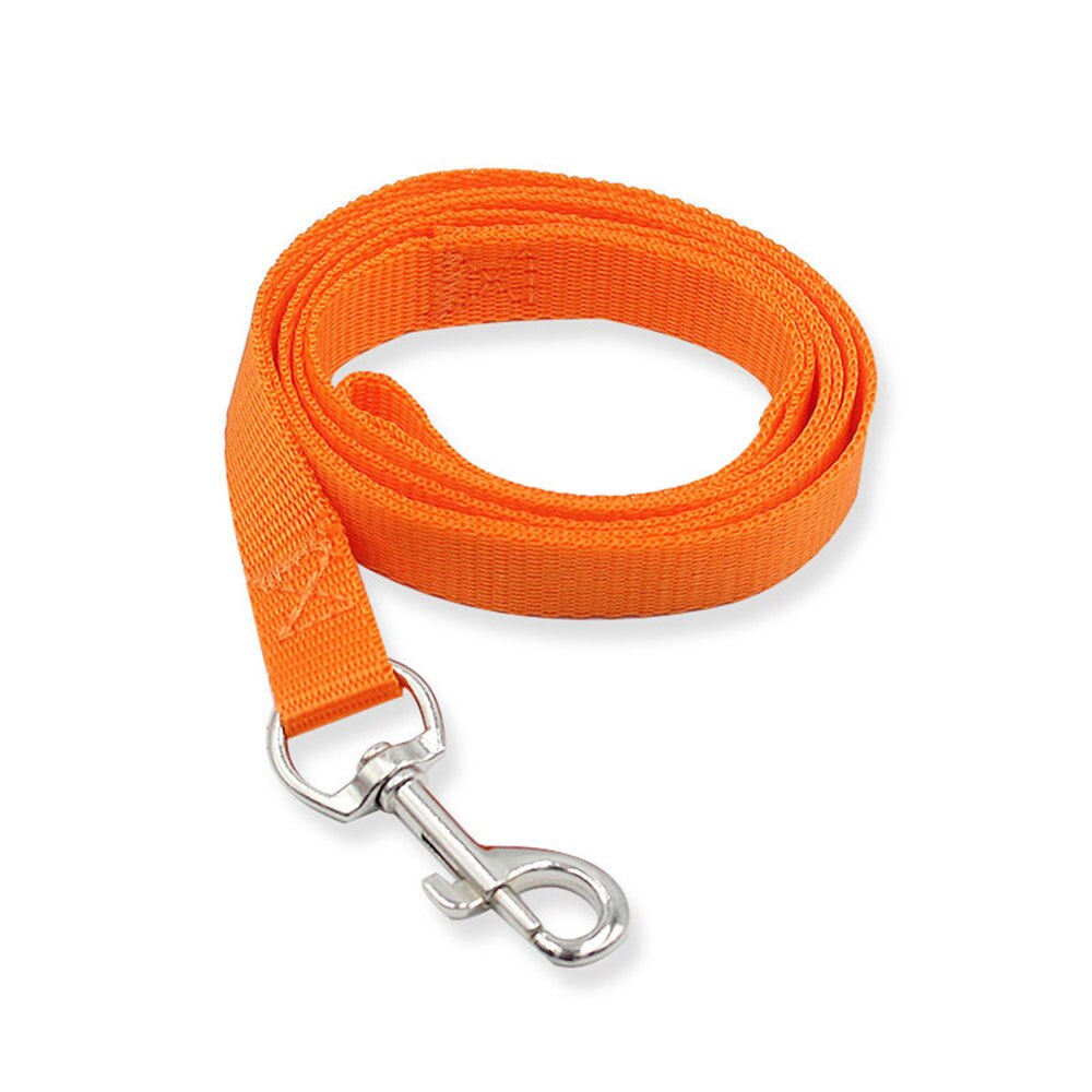 Heavy Duty Nylon Pet Dog Leash | Colourful and Durable Lead for Small Dogs and Cats, Ideal for Walking and Training