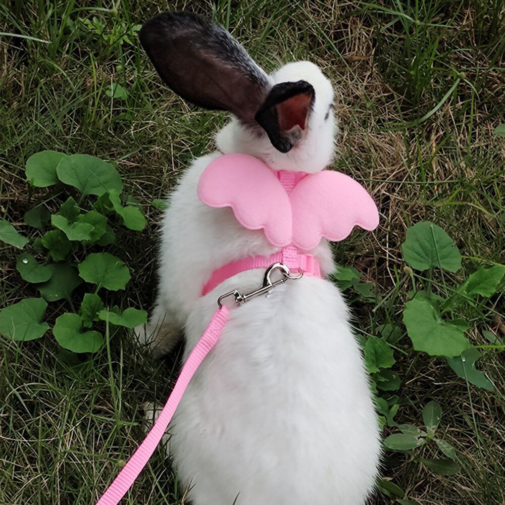 Cute Rabbit Angel Wing Harness & Leash Set | Soft Adjustable Bunny Pet Supplies for Small Animals