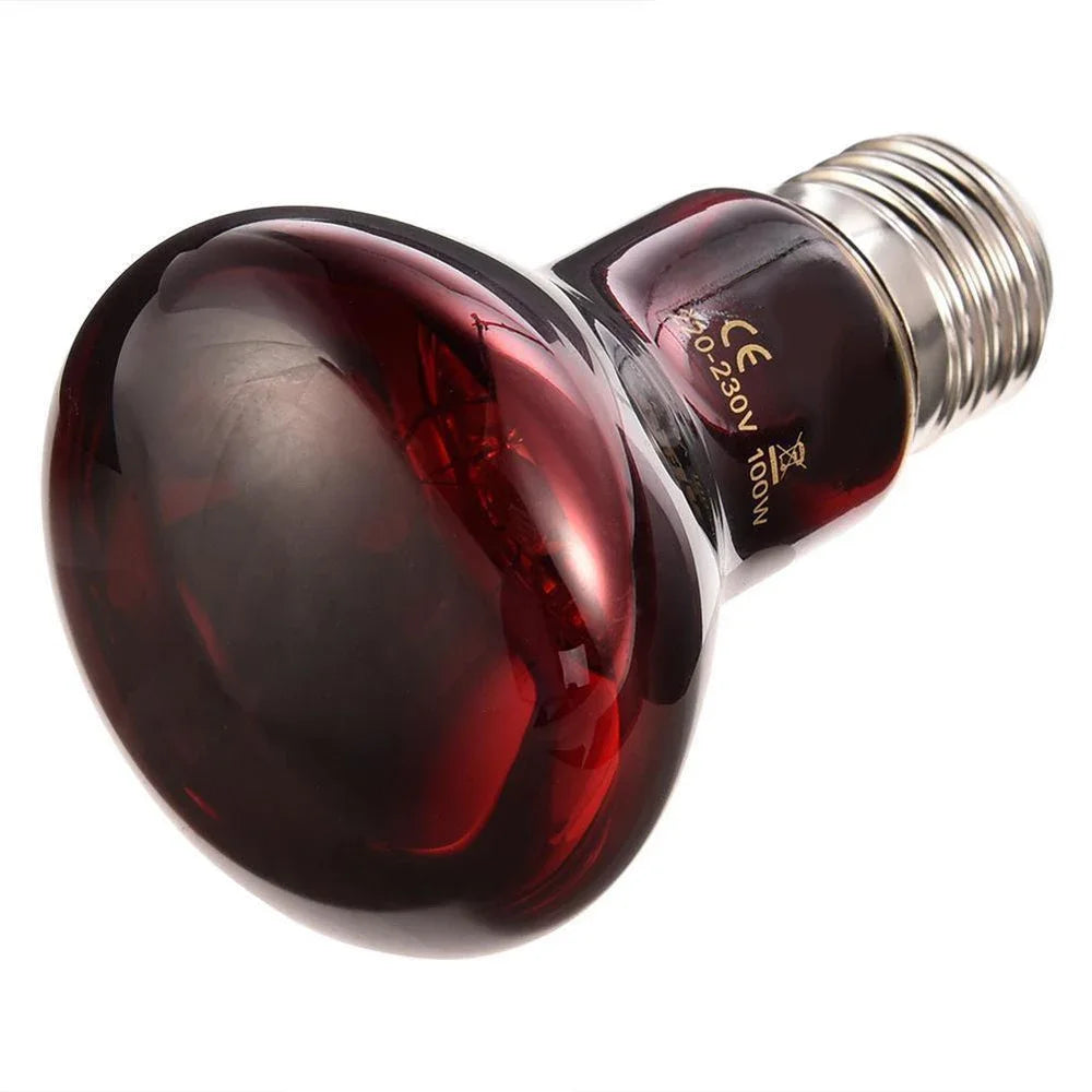 220V Infrared Heating Lamp for Poultry & Pets | E27 Red Heat Bulb 25W-100W with UVA for Reptiles & Amphibians